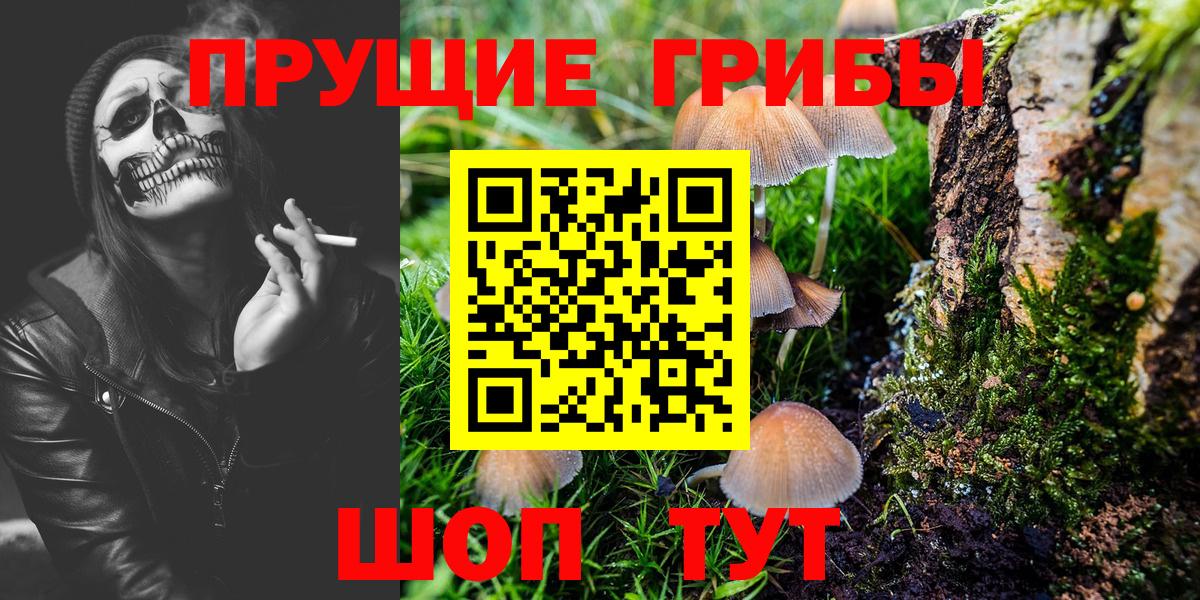 Анапа  Галлюциногенные грибы MAGIC MUSHROOMS  купить наркоту  Вход с VPN 